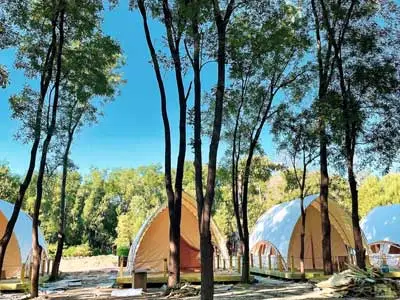 luxury eco tents for sale